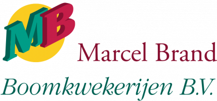 logo-marcel-brand-original